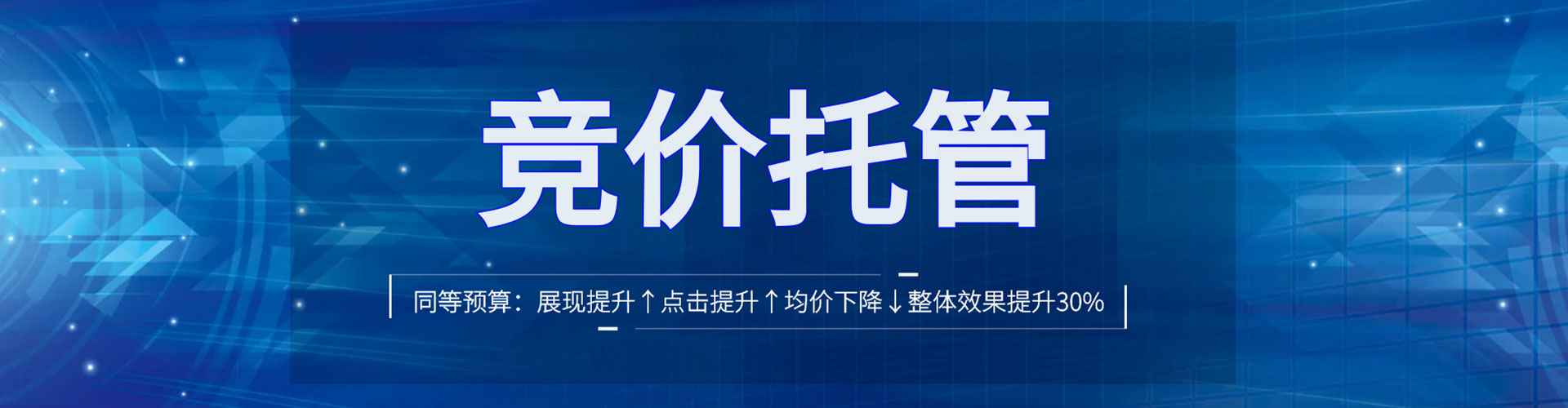 色尼网络推广竞价